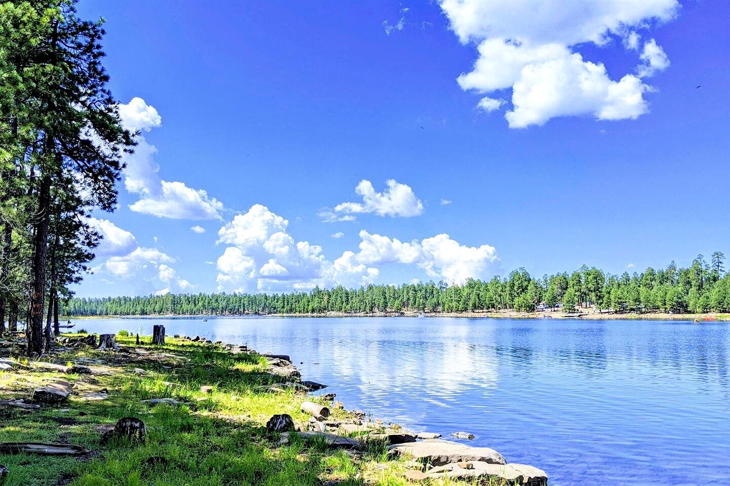 Modern Pet-Friendly Vacation Rental with Resort-Style Amenities in Overgaard, Arizona