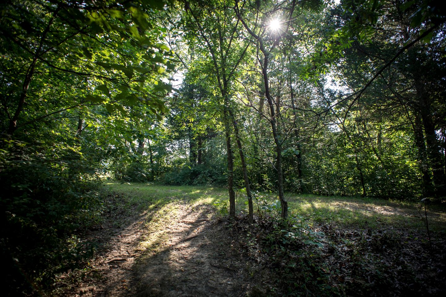 Cozy Rustic Cabin with Hot-Tub Ideal for a Couples Retreat in Illinois