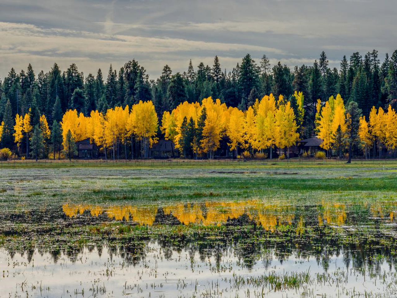 Cabin Getaway in Black Butte Ranch, Oregon