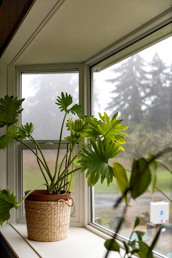 Vacation Rentals (United States of America, Clallam County, Washington)