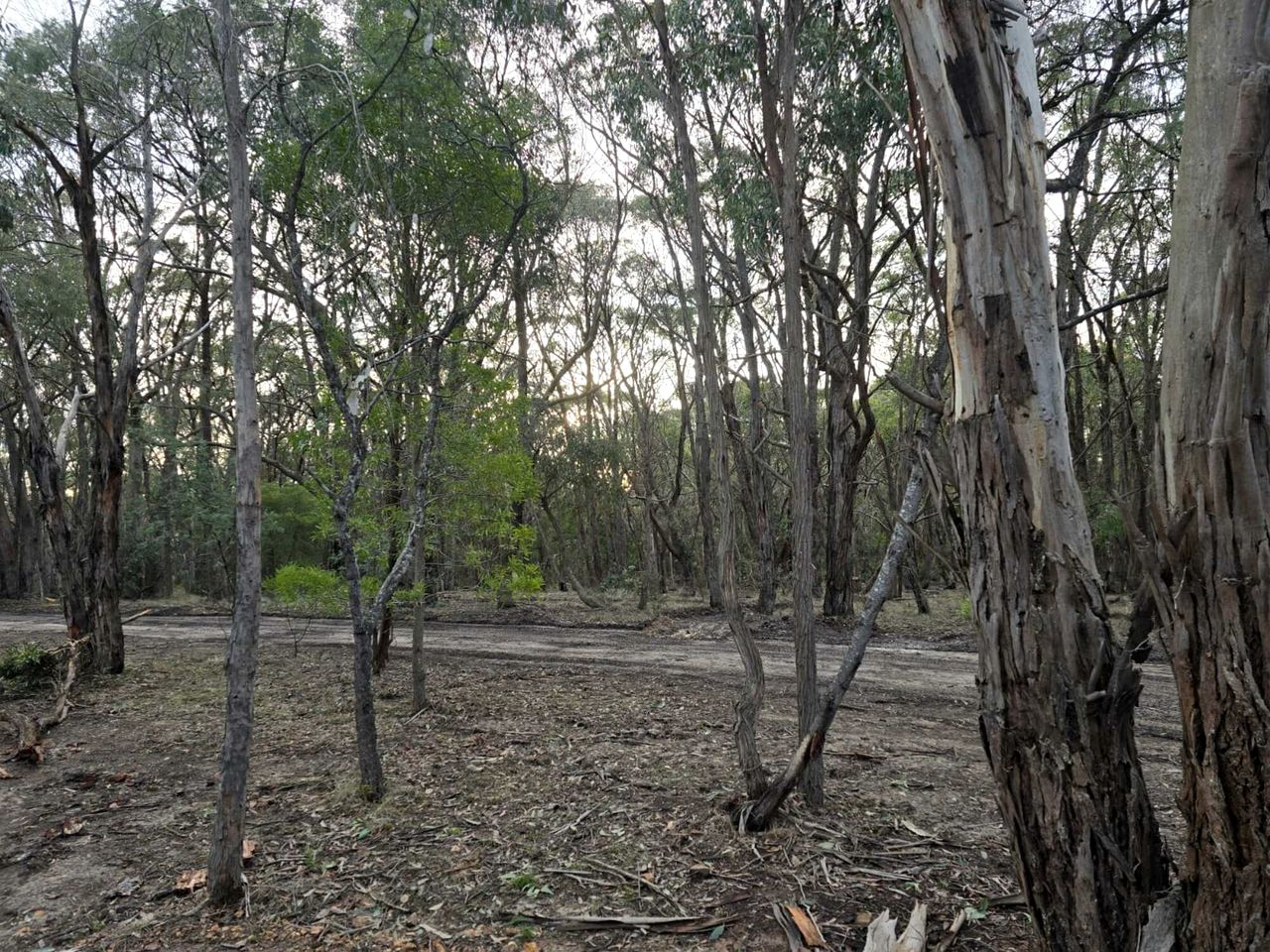 Secluded Tiny House Farm Stay with Wildlife Views near Macedon, Victoria