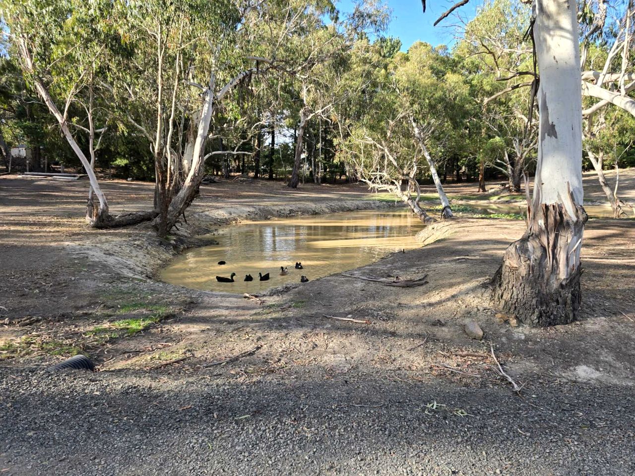 Secluded Tiny House Farm Stay with Wildlife Views near Macedon, Victoria