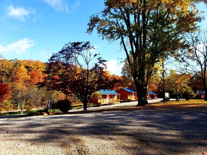 Gorgeous Cabin Surrounded by Trees in Jamestown, Tennessee | Cabins (Jamestown, Tennessee, United States of America)