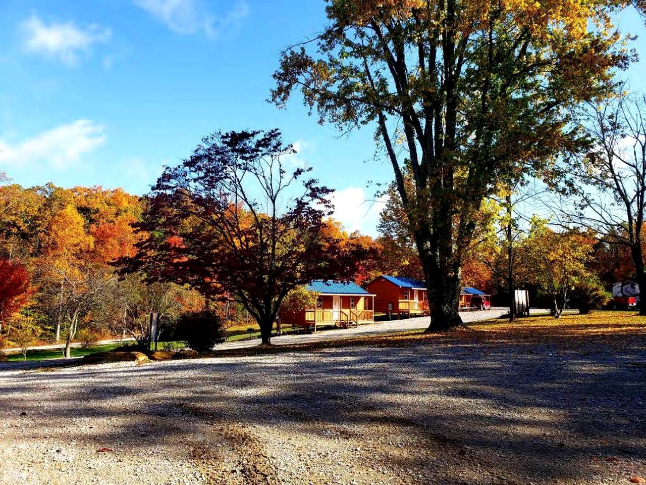 Gorgeous Cabin Surrounded by Trees in Jamestown, Tennessee