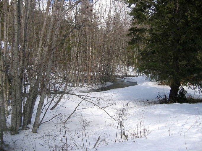 Cabins (Hunters, Washington, United States)