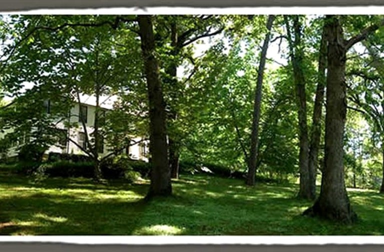 Nature Lodges (Black Mountain, North Carolina, United States)