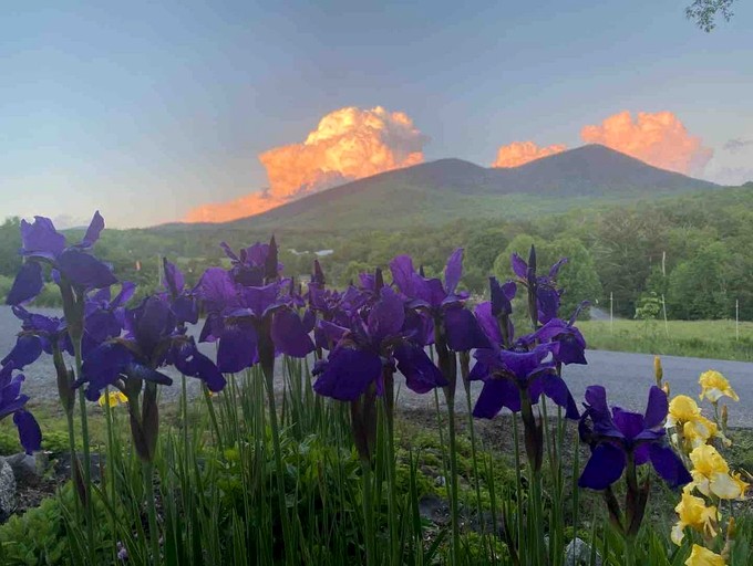 Vacation Rentals (United States of America, Jackson, New Hampshire)