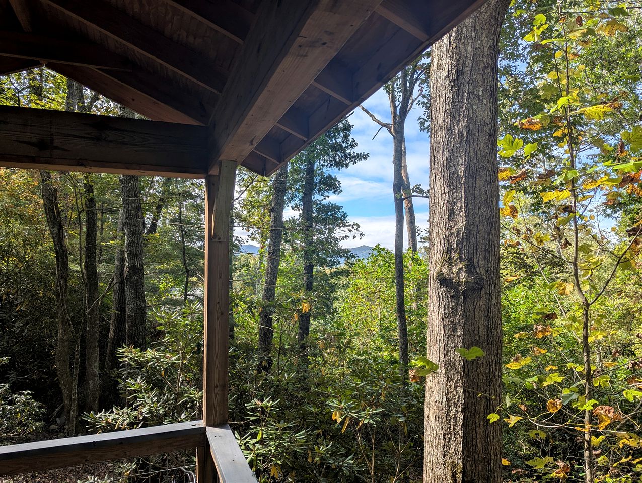 Charming Mountain Treehouse with Forest Views near Downtown Black Mountain, NC