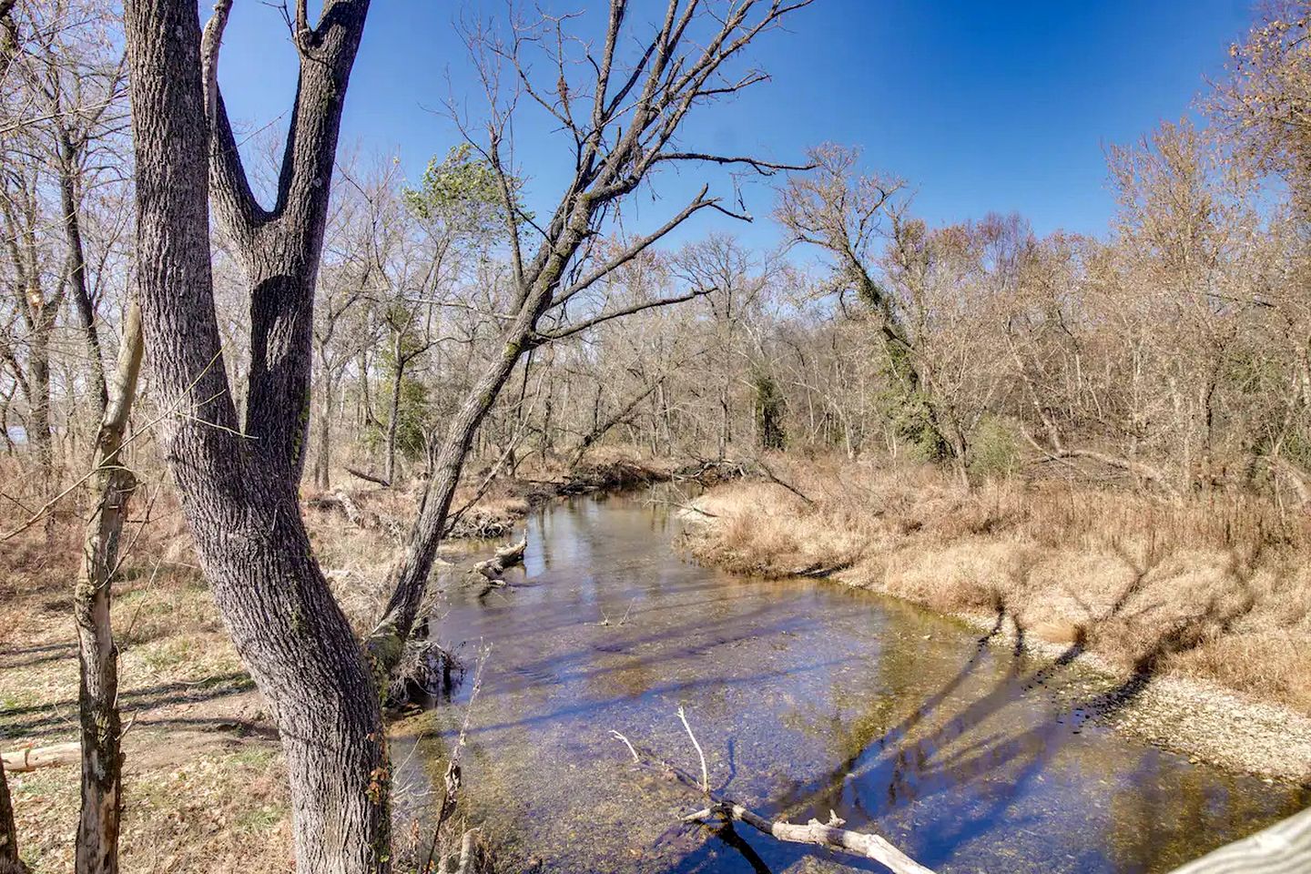 Secluded Studio Getaway with Outdoor Living and Trails Near Siloam Springs, Gentry, AR