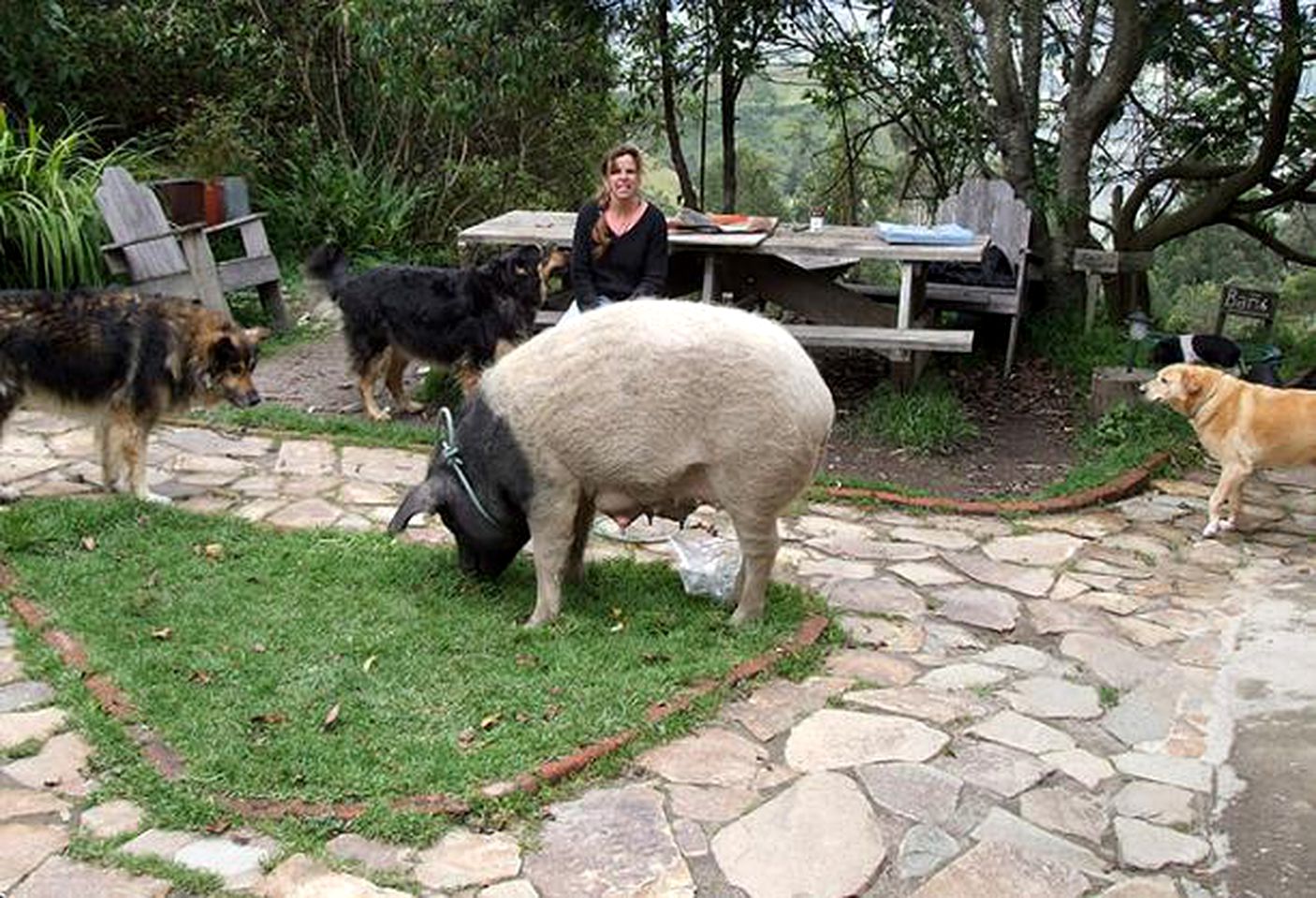 Hillside Vacation Rental near Lake Quilotoa in Chugchilán, Cotopaxi, Ecuador