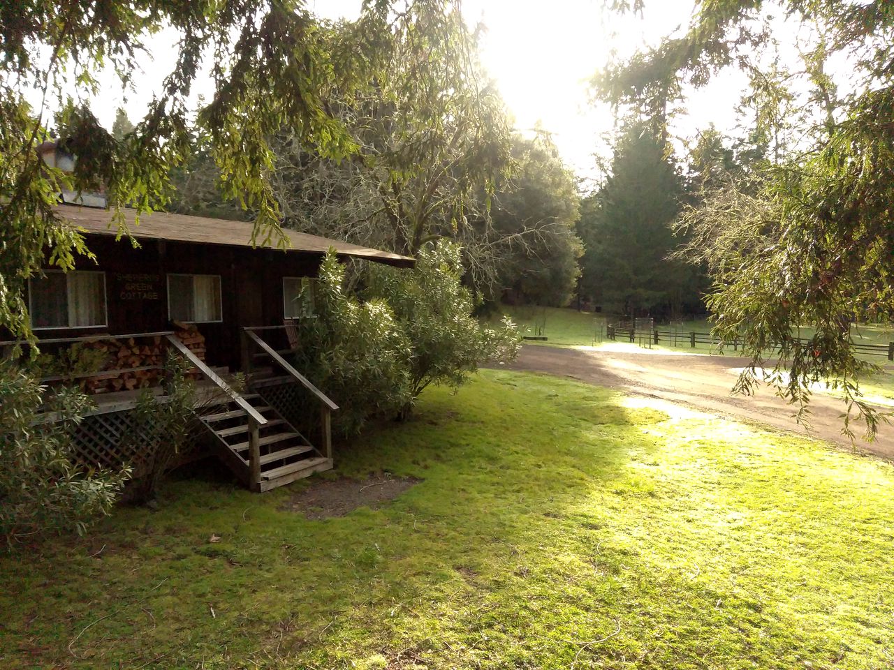 Getaway Hendy Woods State Park California