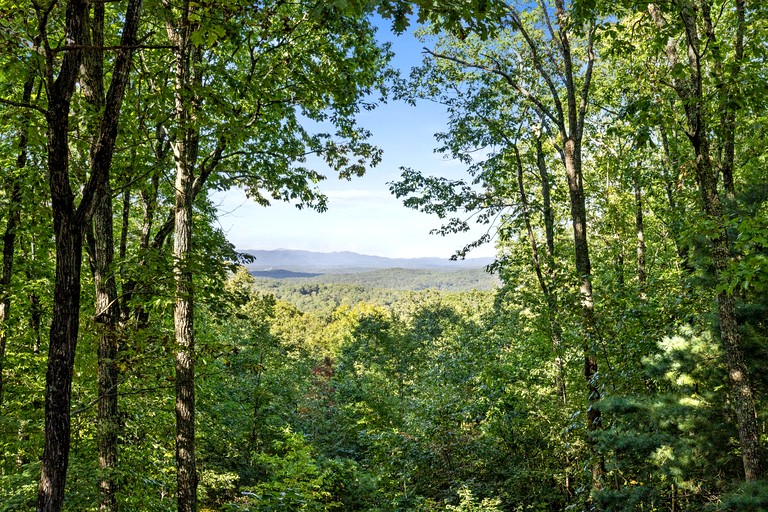 Cabins (United States of America, Blue Ridge, Georgia)
