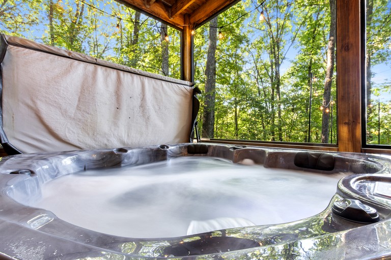 Cabins (United States of America, Blue Ridge, Georgia)