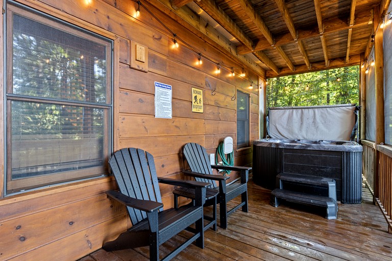 Cabins (United States of America, Blue Ridge, Georgia)