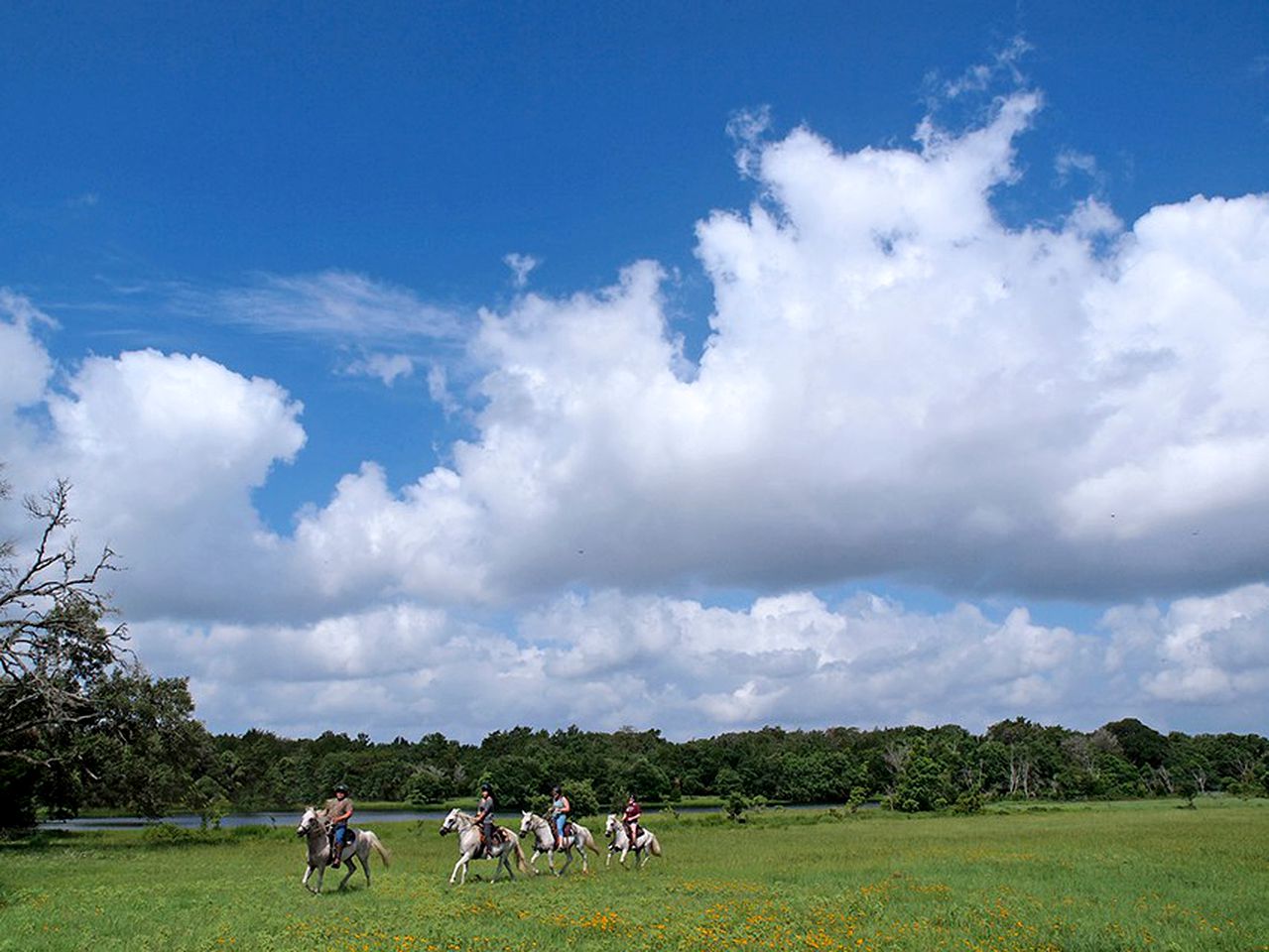 Rustic Cabin Rental with Private Hot Tub on Working Ranch and B&B near Houston, Texas