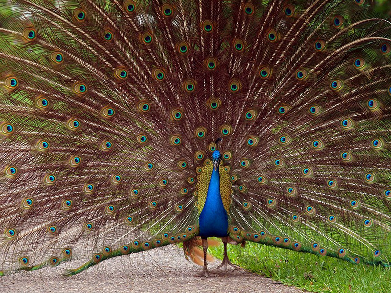Rustic Cabin Rental with Private Hot Tub on Working Ranch and B&B near Houston, Texas