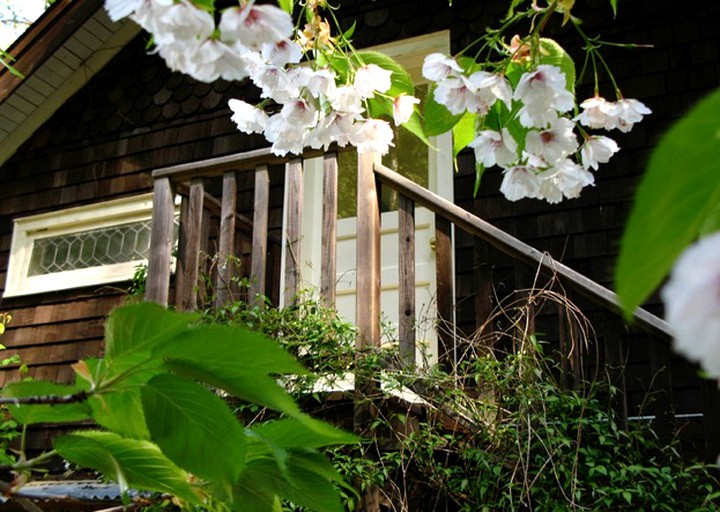 Nature Lodges (Salt Spring Island, British Columbia, Canada)