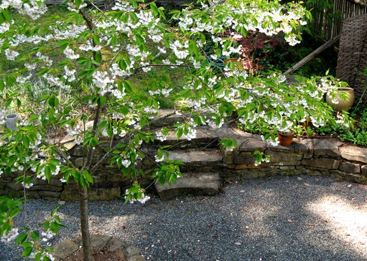 Nature Lodges (Salt Spring Island, British Columbia, Canada)