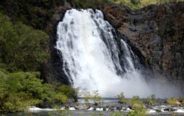 Beach Houses (Bloomfield, Queensland, Australia)