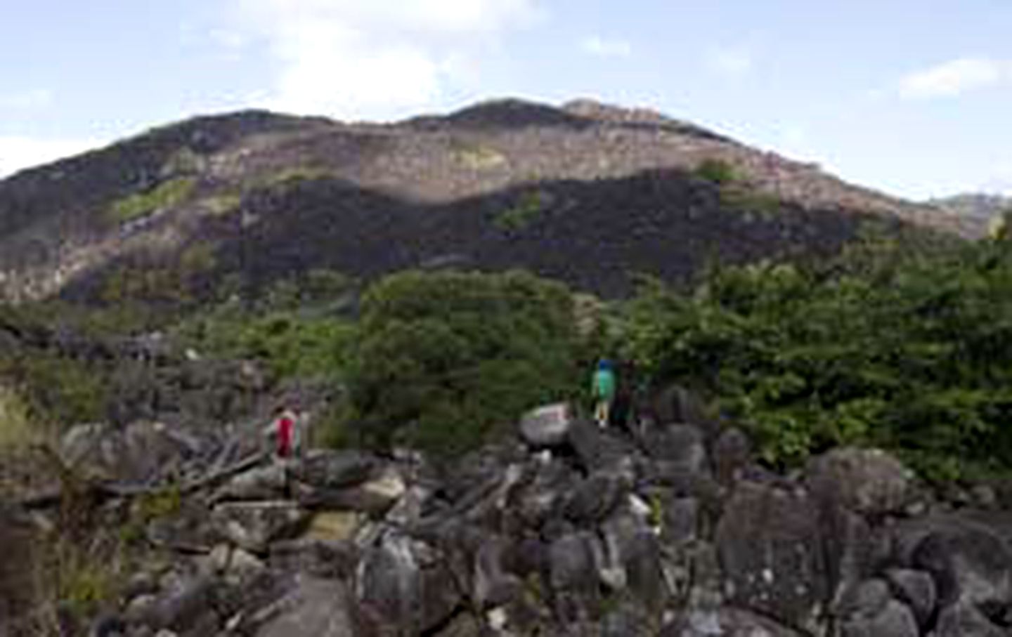 Stunning Beachfront Cottage with Ocean Views in Bloomfield, Queensland
