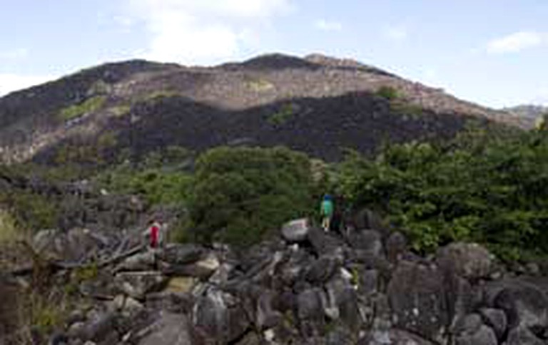 Beach Houses (Bloomfield, Queensland, Australia)