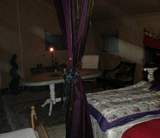 undefined photo 3