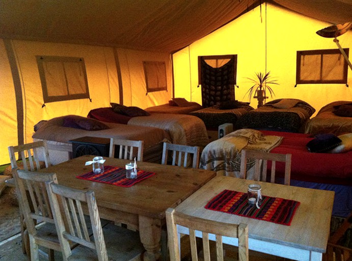 Safari Tents (Ashford, England, United Kingdom)