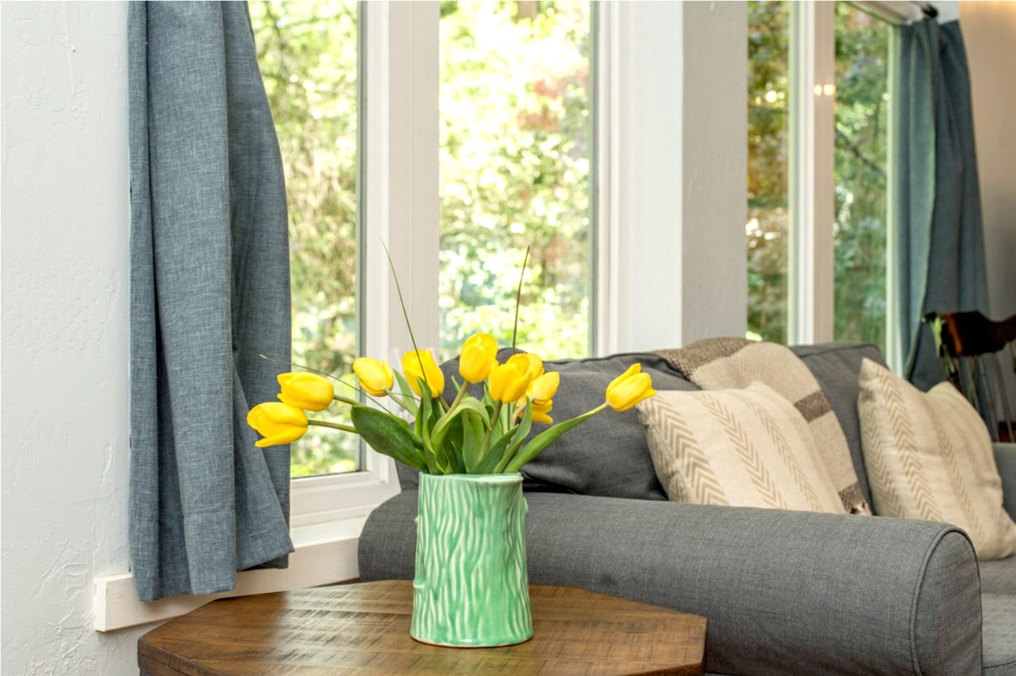 Quirky Pet-Friendly Cabin Rental Perfect for Glamping in Northern California