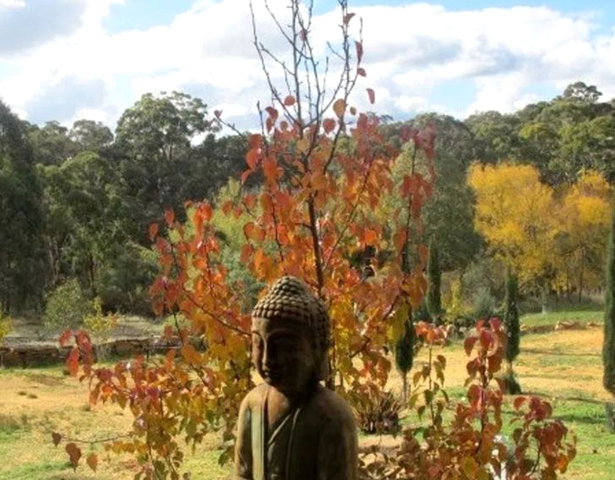 Romantic Cabin Retreat for Two in Hepburn Springs, Victoria