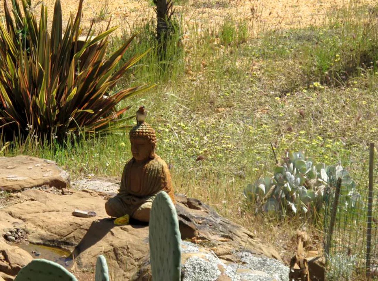 Romantic Cabin Retreat for Two in Hepburn Springs, Victoria