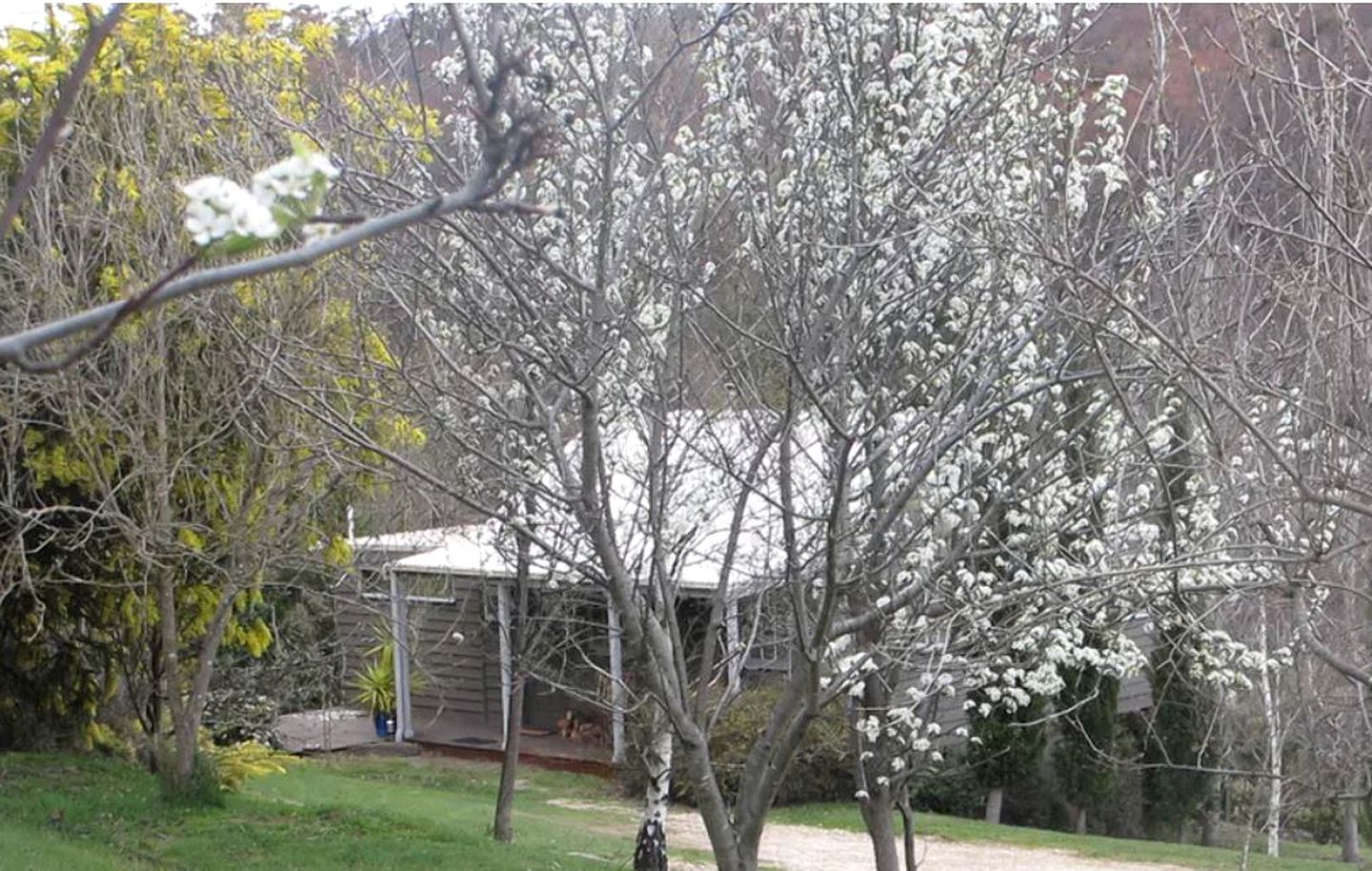 Balinese-Style Villa Rental with Indoor Spa Bath Surrounded by the Wombat State Forest in Victoria