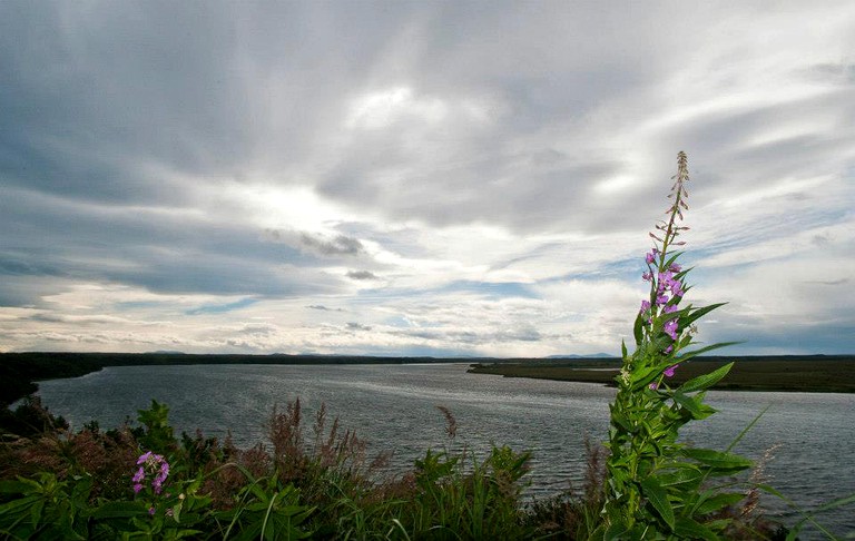 Nature Lodges (King Salmon, Alaska, United States)