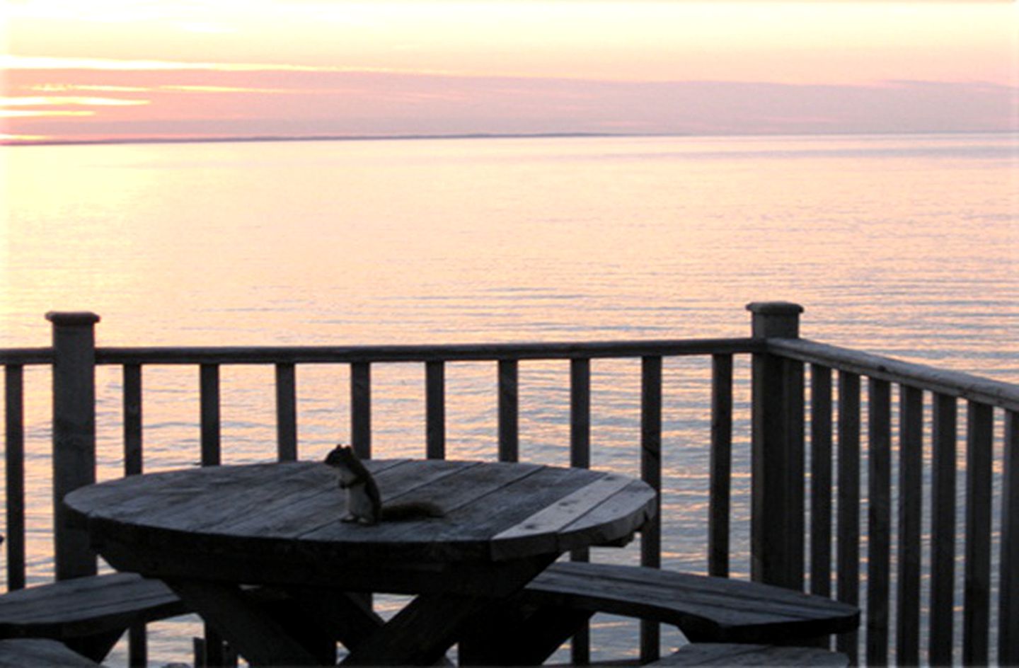 Luxury Beachfront Cottage with Private Pool on Prince Edward Island, Canada