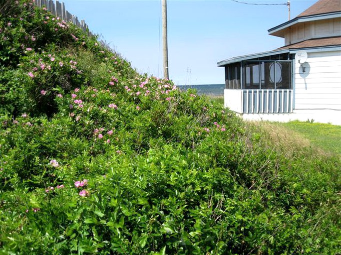 Vacation Rentals (Point DeRoche, Prince Edward Island, Canada)