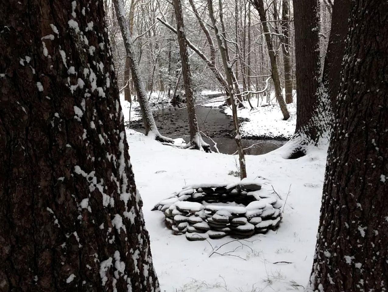 Romantic Year-Round Cabin Getaway with Free Wi-Fi in Saugerties, New York