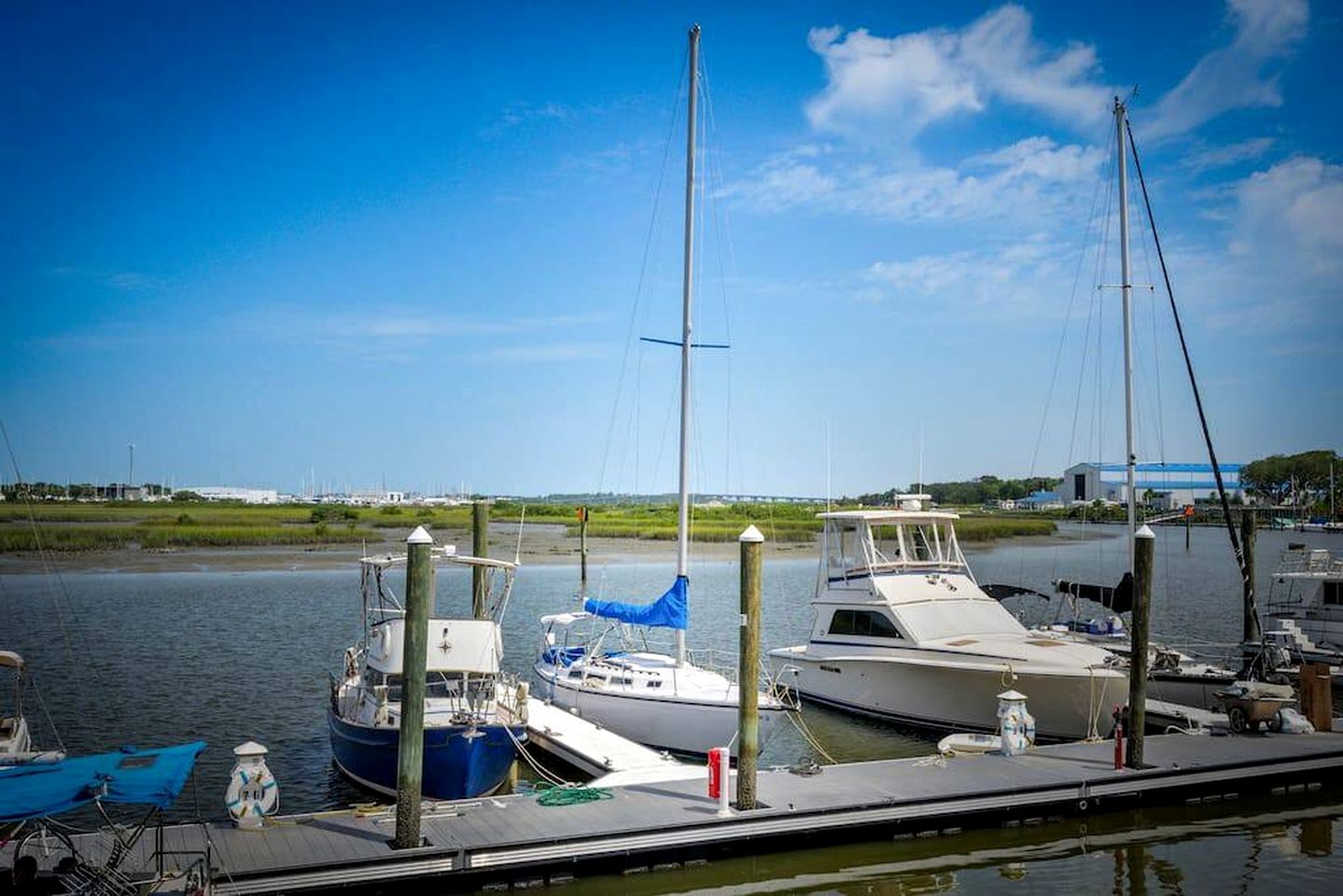 Pet-Friendly Boat with Picturesque and Chic Interior in Florida