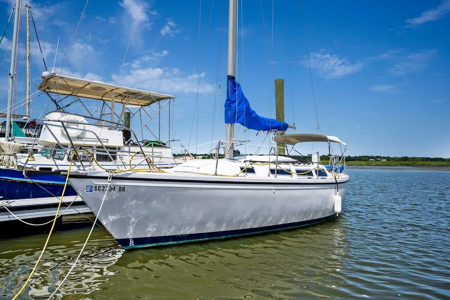 Pet-Friendly Boat with Picturesque and Chic Interior in Florida