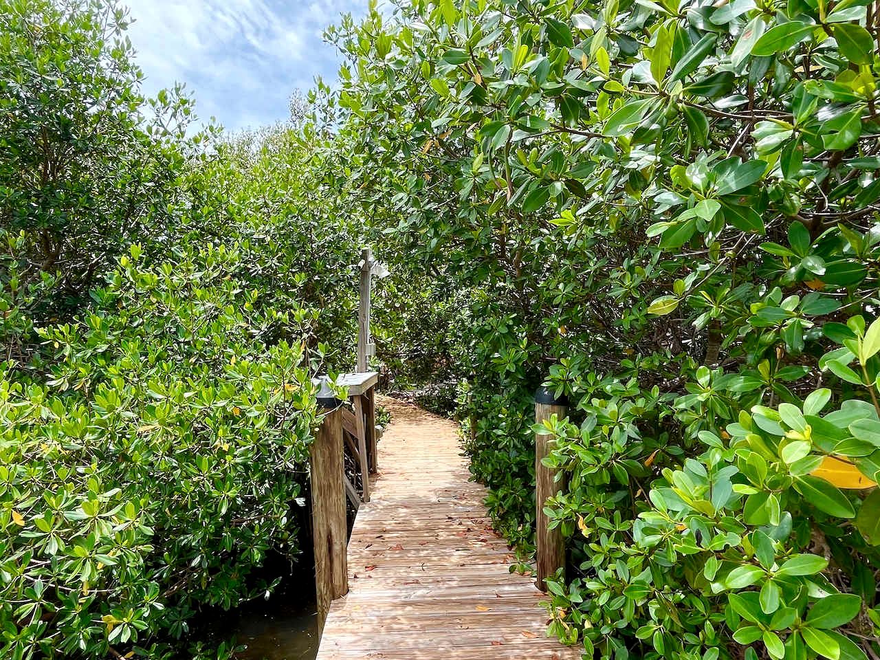Idyllic Bayfront Cottage with River Views and Private Beach Access in Florida’s Coastal Paradise