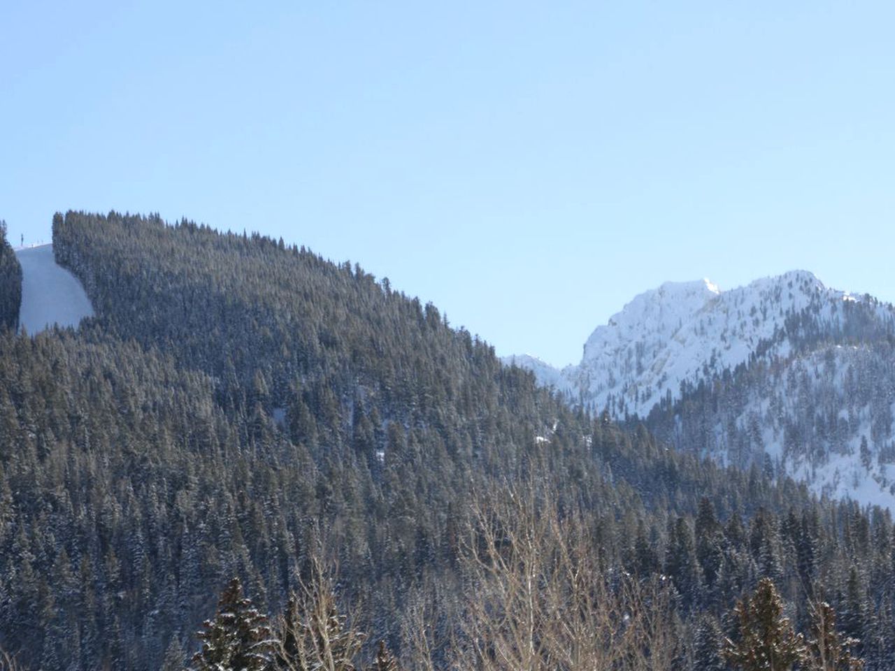 Gorgeous Cabin Rental in the Peaceful Pine Woodlands of Brighton, Utah