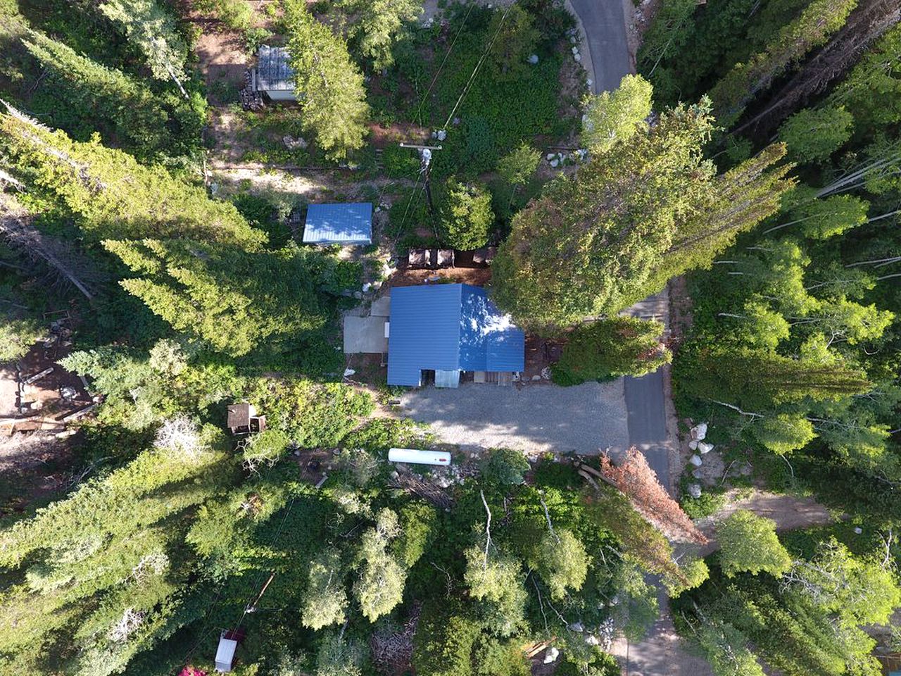 Gorgeous Cabin Rental in the Peaceful Pine Woodlands of Brighton, Utah