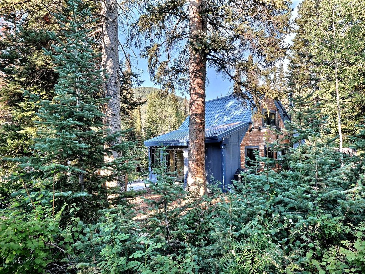 Gorgeous Cabin Rental in the Peaceful Pine Woodlands of Brighton, Utah