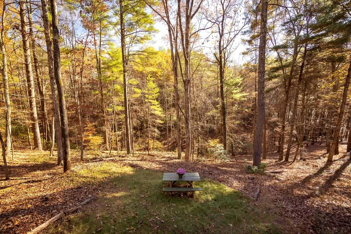 Cozy Mountain Cabin Retreat with Private Forest & Kayaks Near Blue Ridge Parkway, Virginia