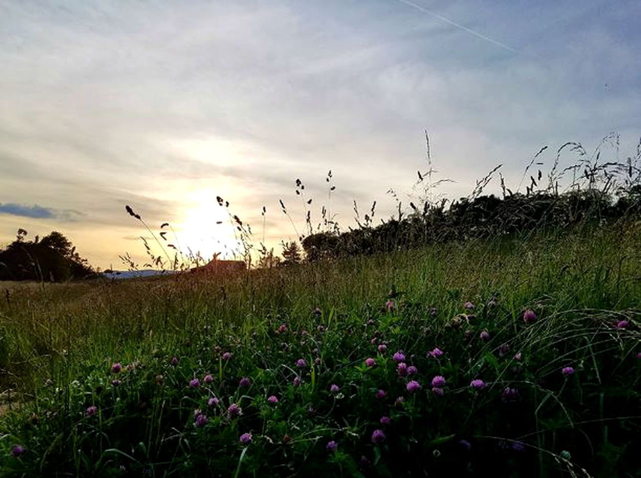 Charming Pet-Friendly Vacation Rental at a Lovely Bed and Breakfast near Hillsville, Virginia