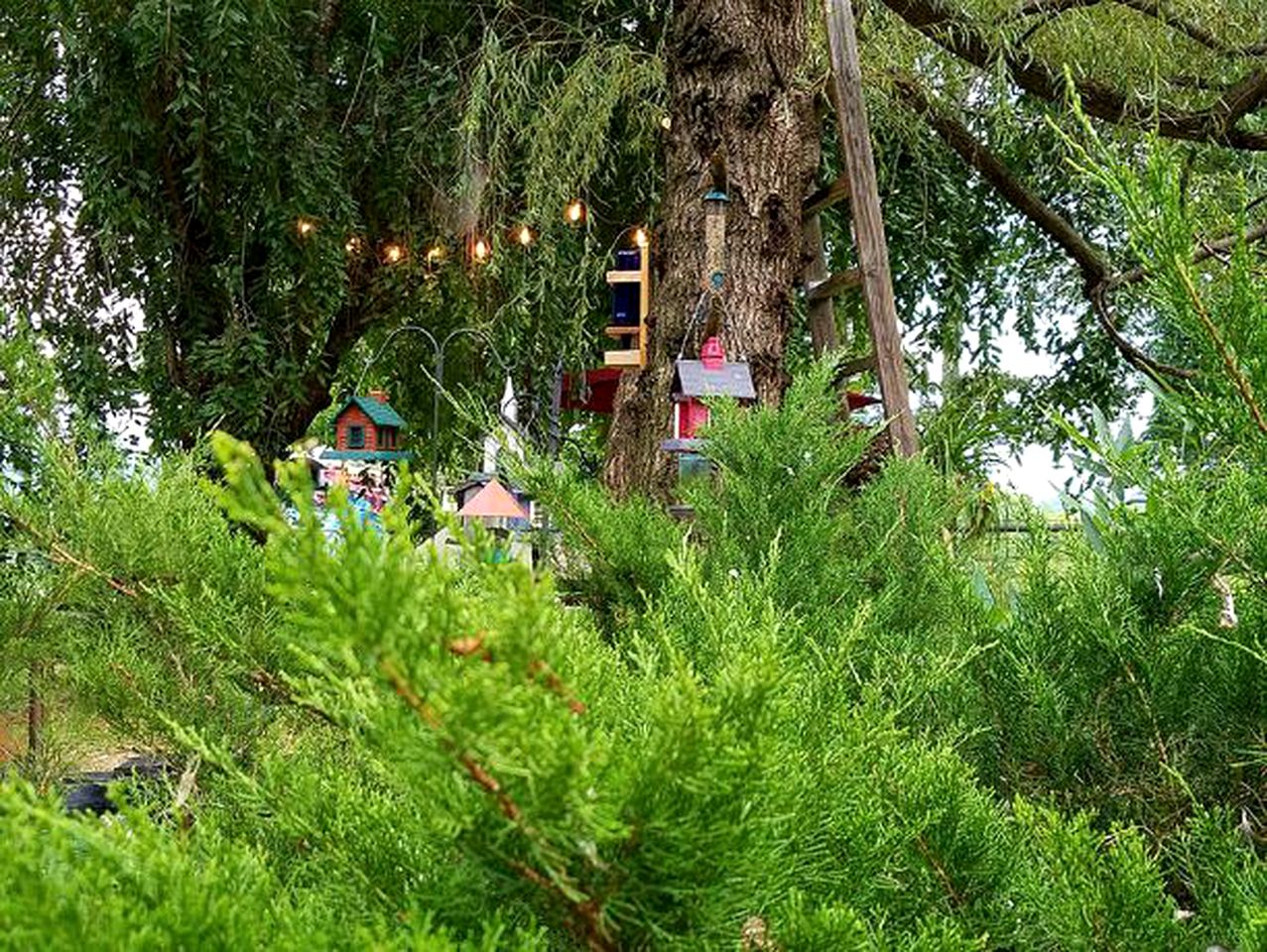 Charming Pet-Friendly Vacation Rental at a Lovely Bed and Breakfast near Hillsville, Virginia