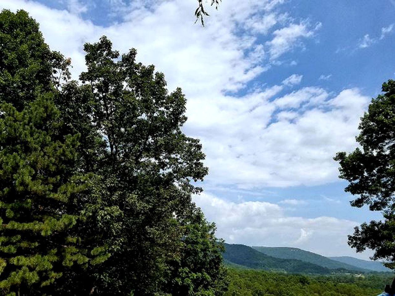 Charming Pet-Friendly Vacation Rental at a Lovely Bed and Breakfast near Hillsville, Virginia