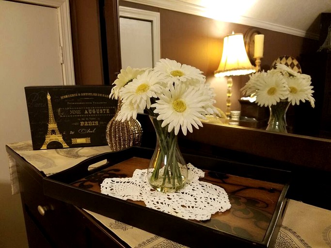 Nature Lodges (Cana, Virginia, United States)