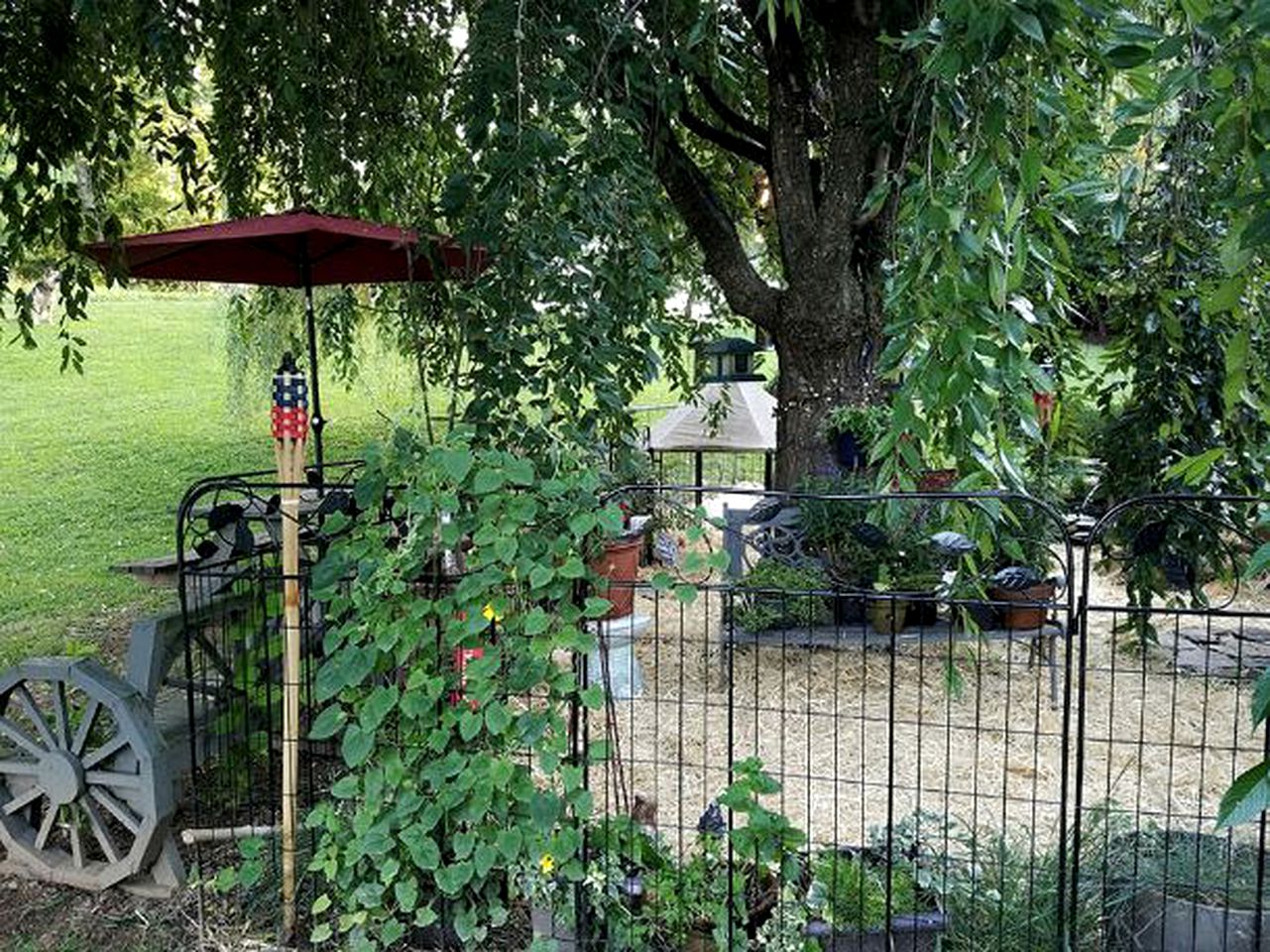 Pet-Friendly Vacation Rental with Stunning Mountain Views near Woodlawn, Virginia