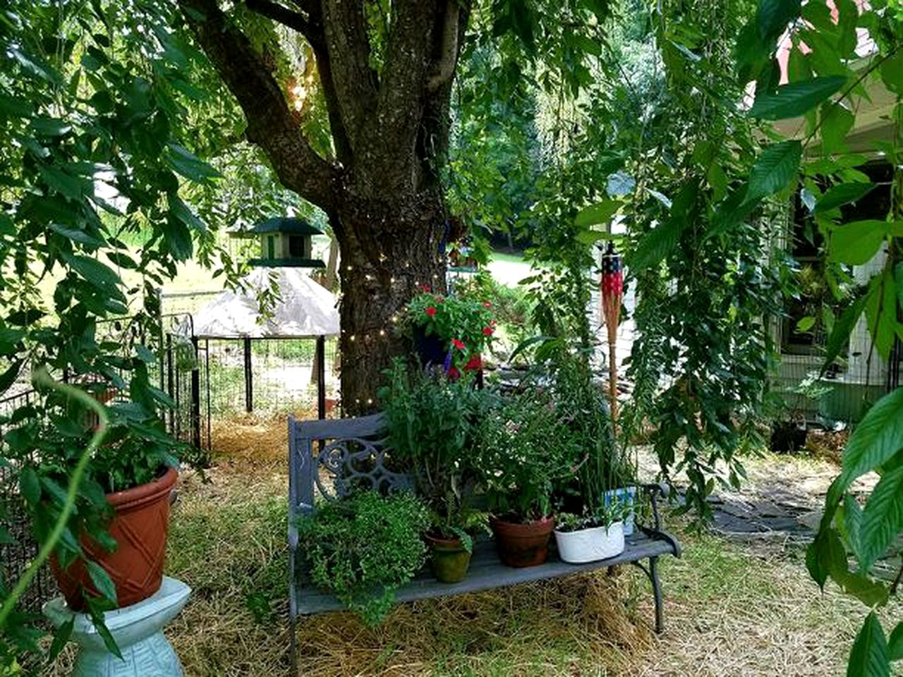 Pet-Friendly Vacation Rental with Stunning Mountain Views near Woodlawn, Virginia