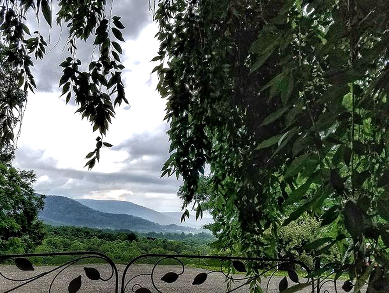 Romantic Vacation Rental off the Blue Ridge Parkway in Cana, Virginia