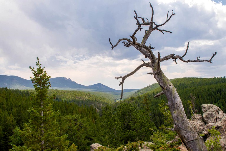 Caravans (Black Hawk, Colorado, United States)